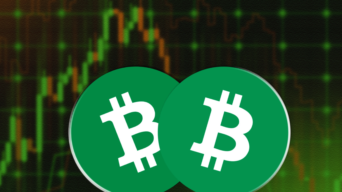 BCH Price Prediction: Are the Buyers Still in Control?