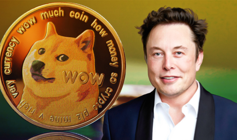 Elon Musk's Biography ft. Dogecoin