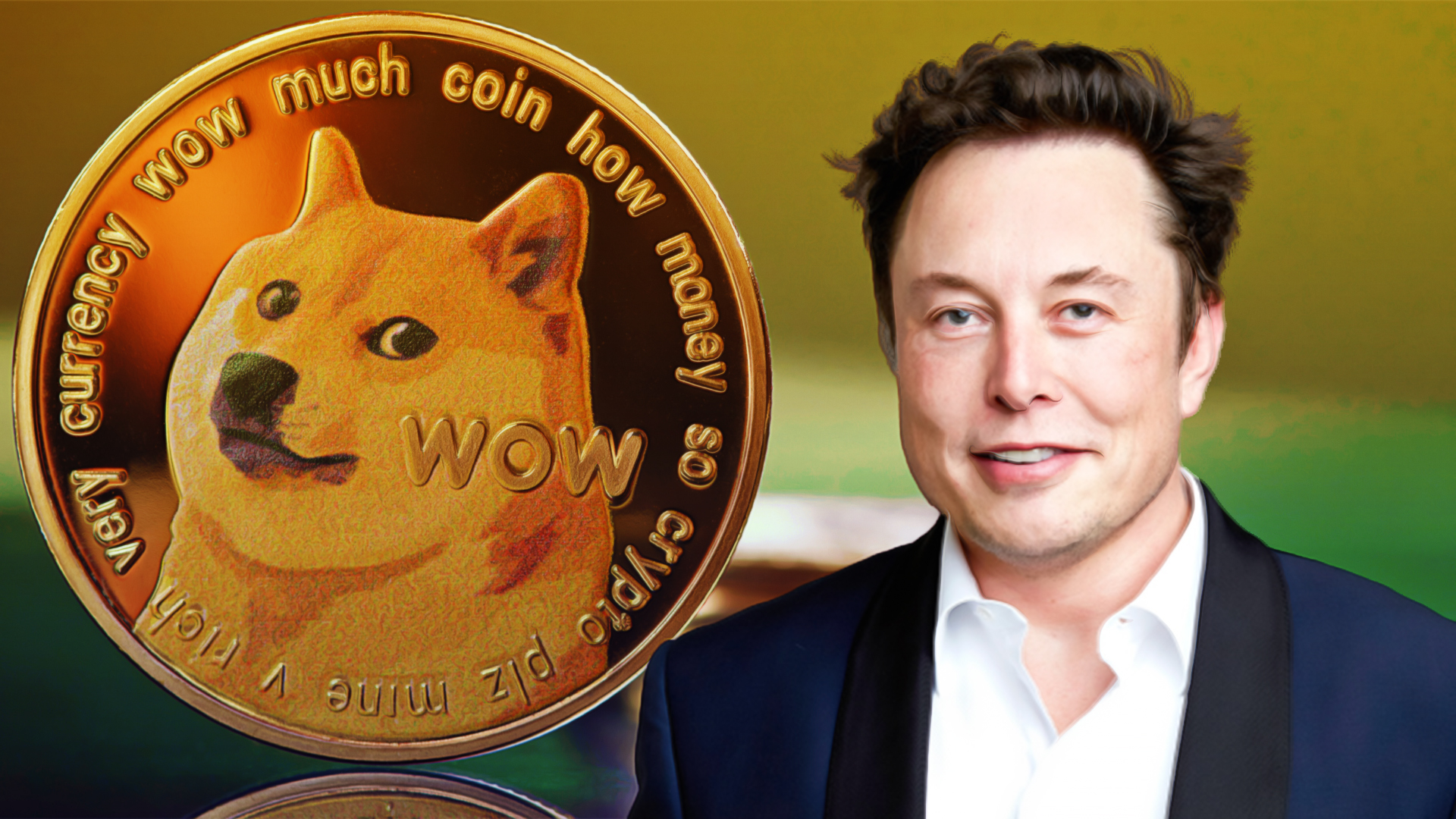 Elon Musk's Biography ft. Dogecoin