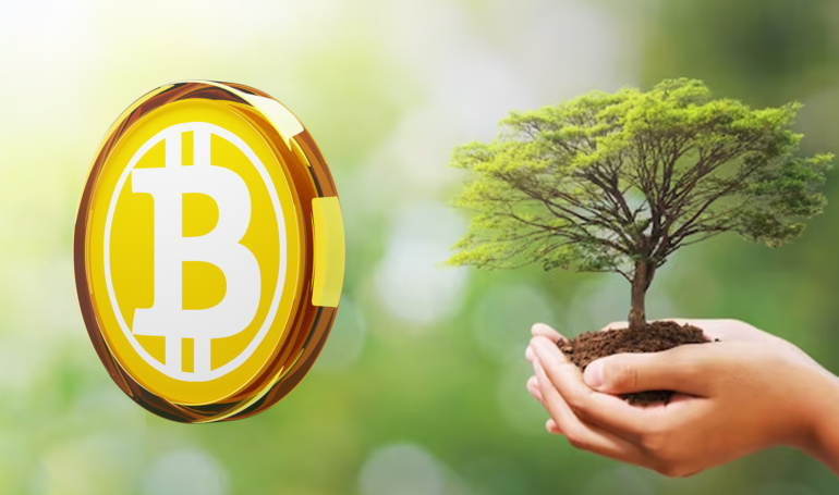 Bitcoin's Environment And Its Journey Towards Efficiency